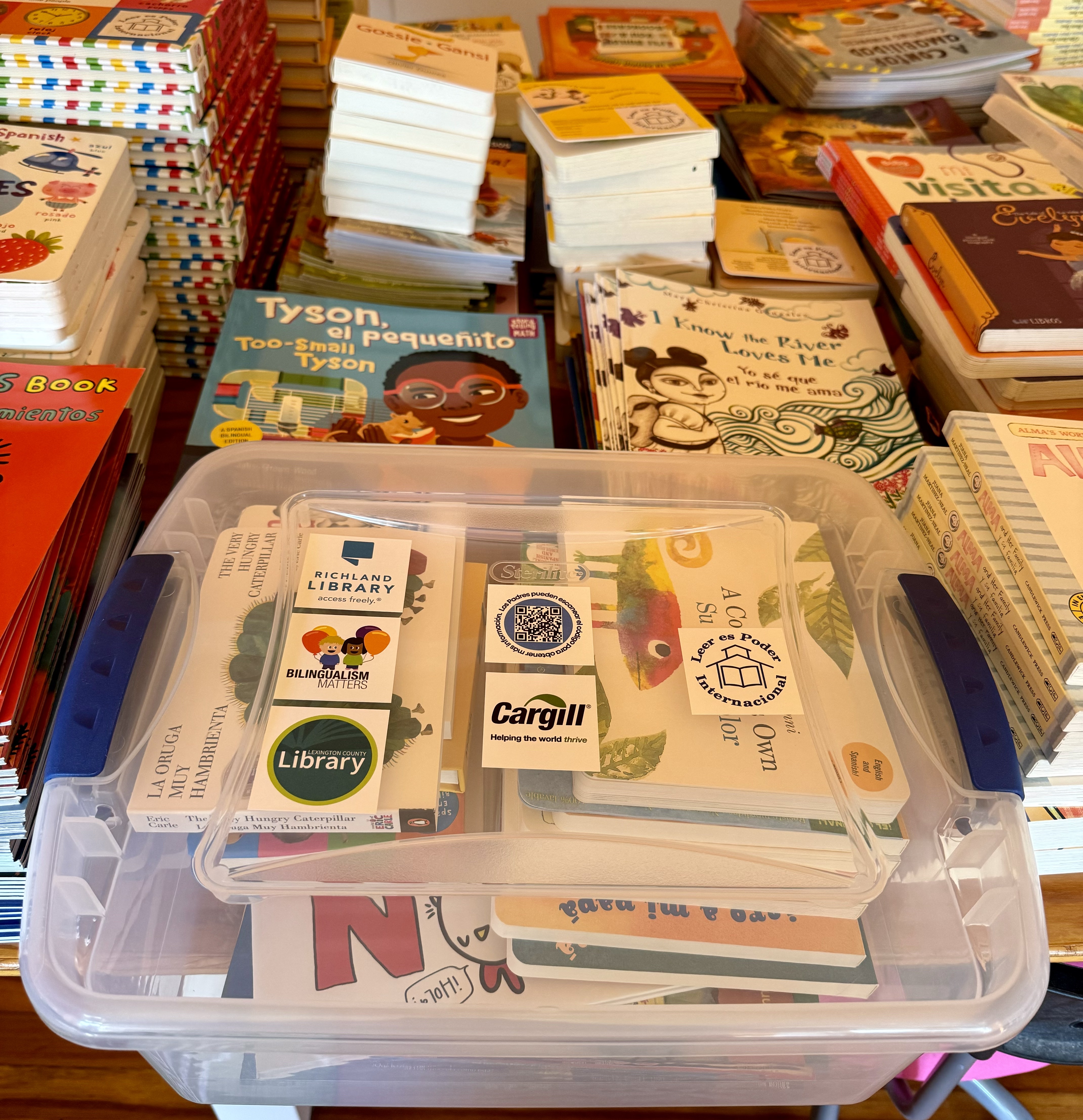 Bilingual Home Library Box